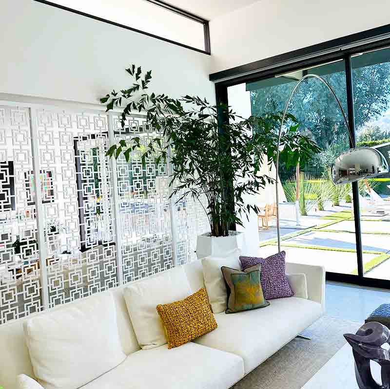 Bright living space styled with statement plants and a pool view
